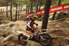8_DSCN0517