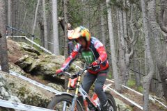 8_DSCN0599