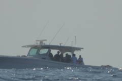 DSCN3167