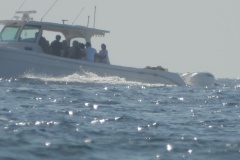 DSCN3168