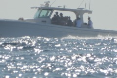 DSCN3171