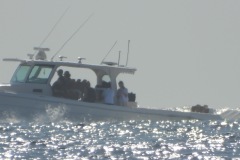 DSCN3173