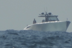 DSCN3177